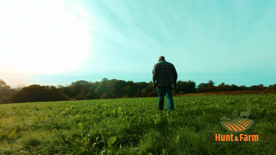 Still 2025-11-29 081237_1.62.1.jpg